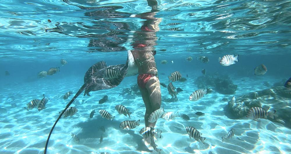 February Trip Ideas