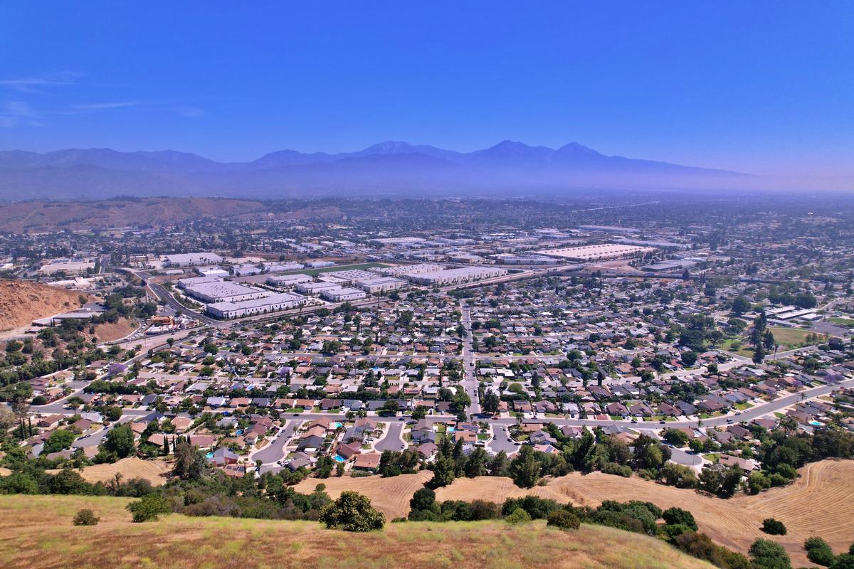 Pomona’s Canvases & Citrus Air