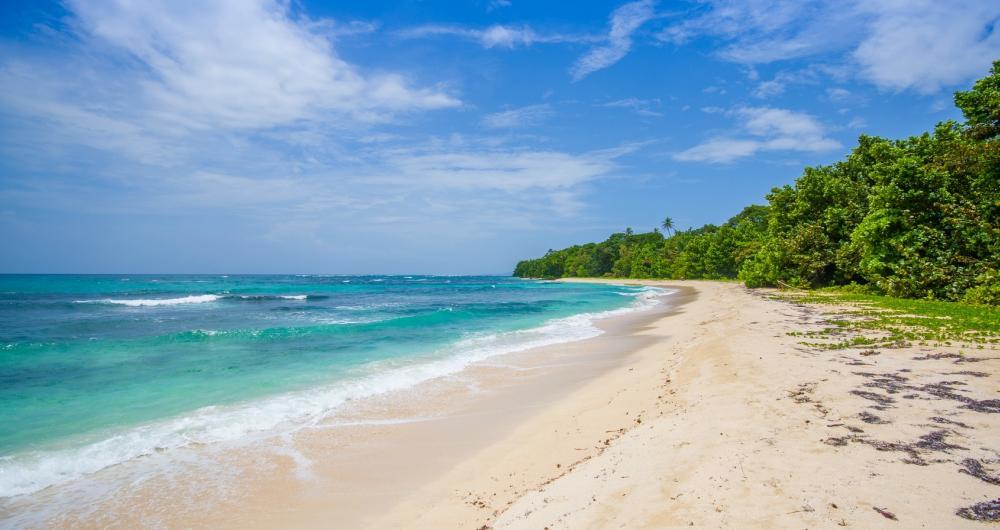 Panama Warmth & Wild Horizon