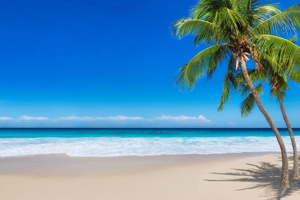 Escape the cold and savor festive, family fun in sunny, affordable spots.
