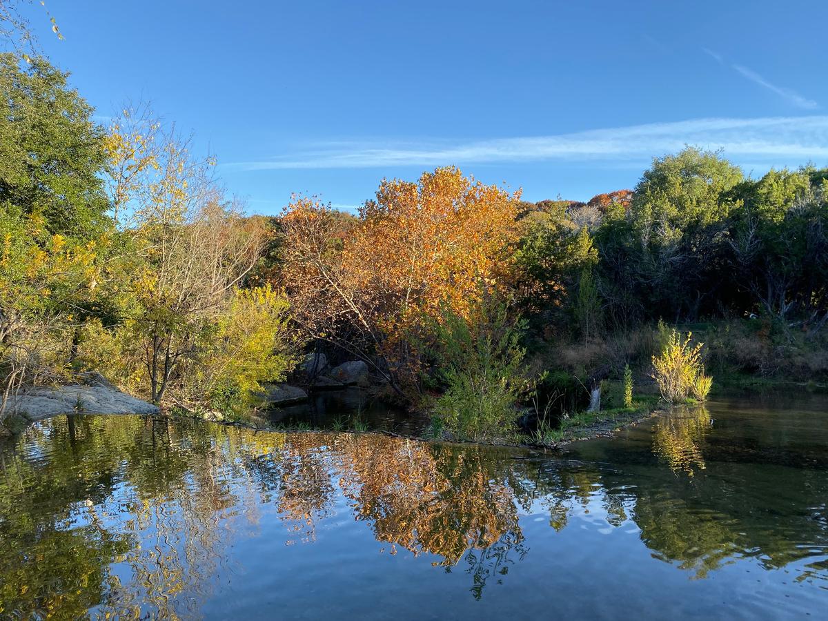 My photo of fall foliage over water in a local state park