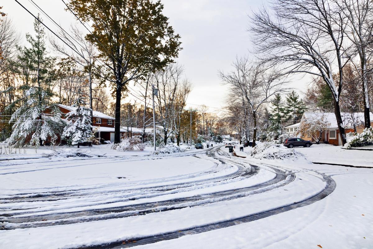 Slow Suburb, Bright Trees in Edison, New Jersey