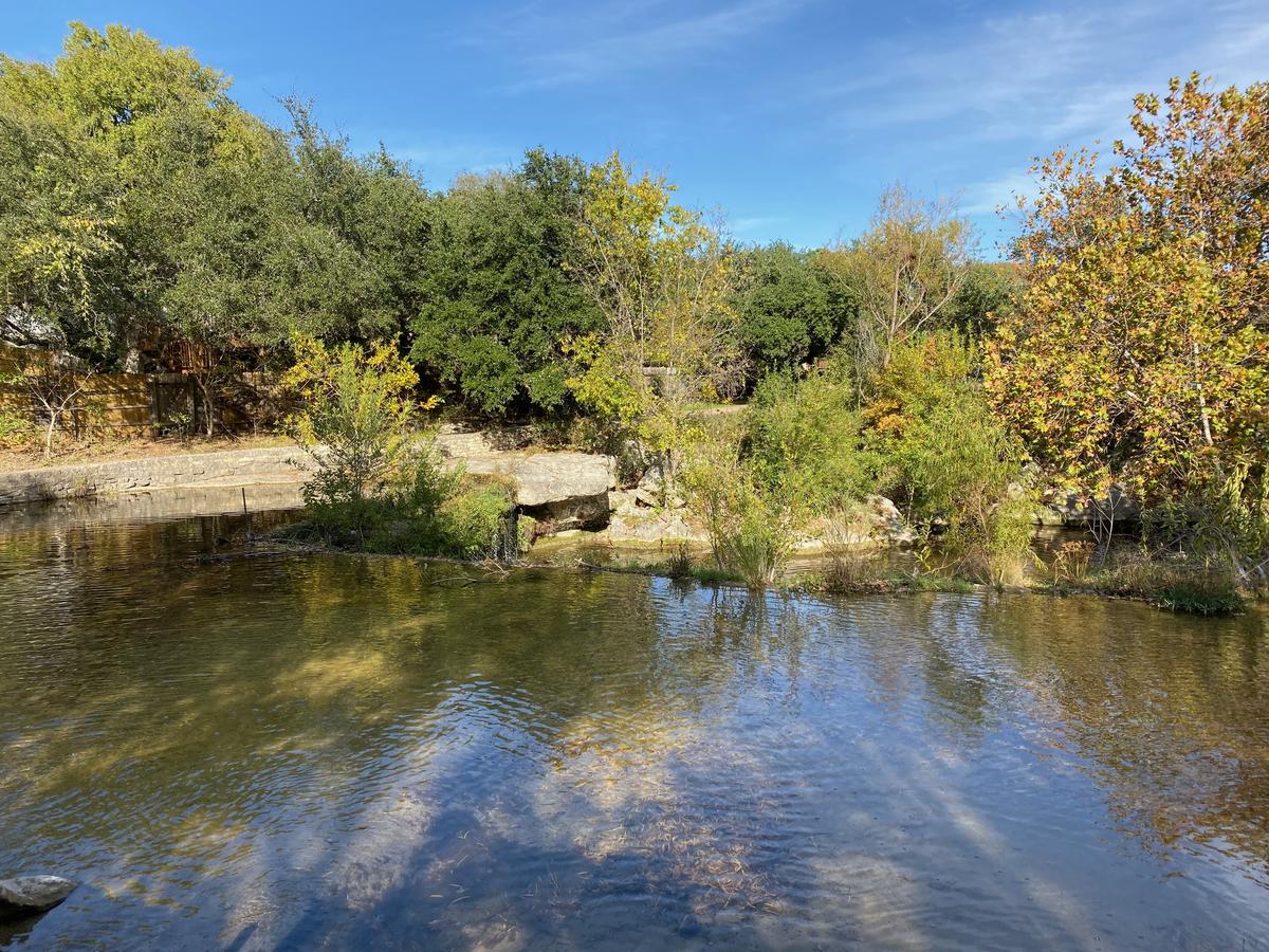 I took this photo of fall foliage reflected in a river