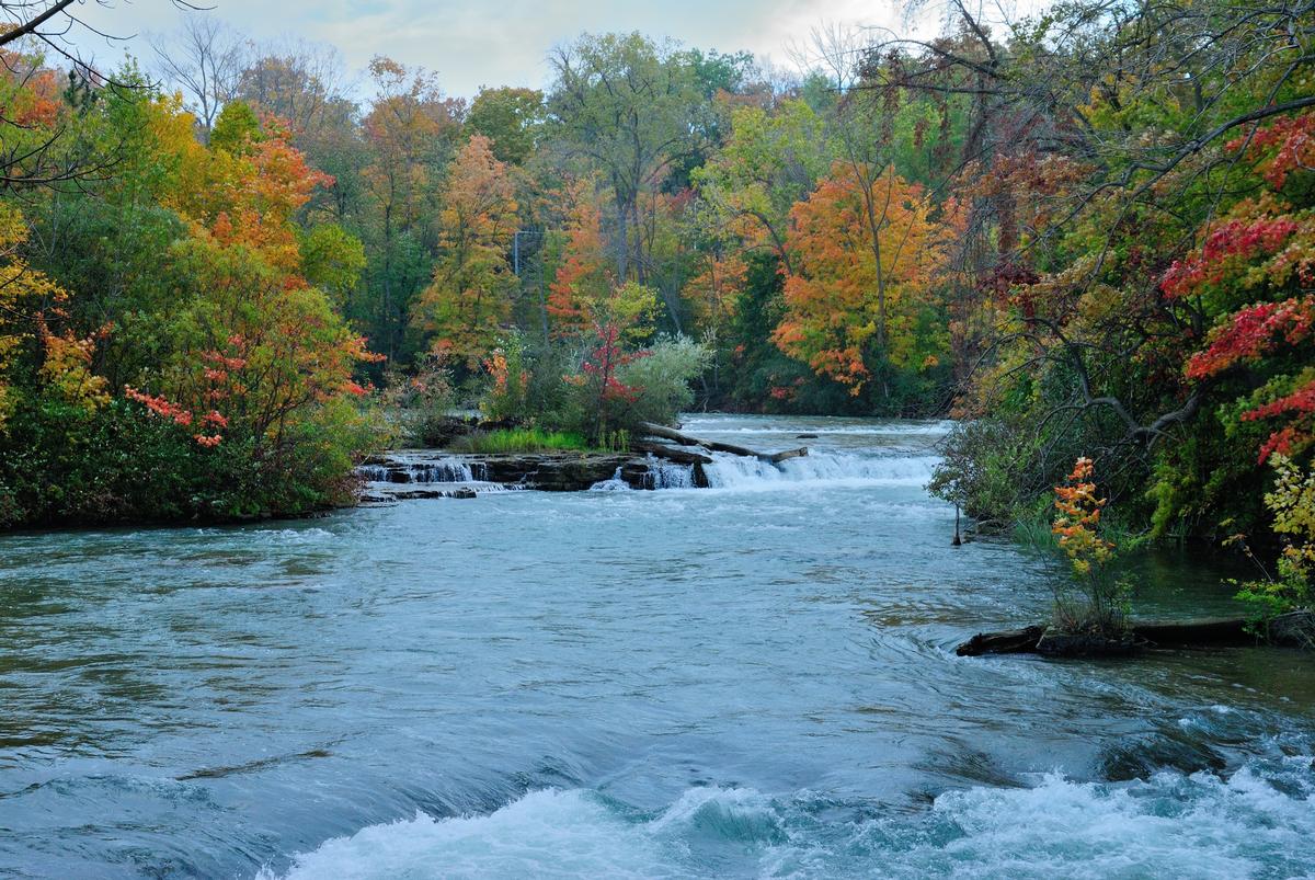 USA side of Niagara Falls in October with leaves turning red, yellow