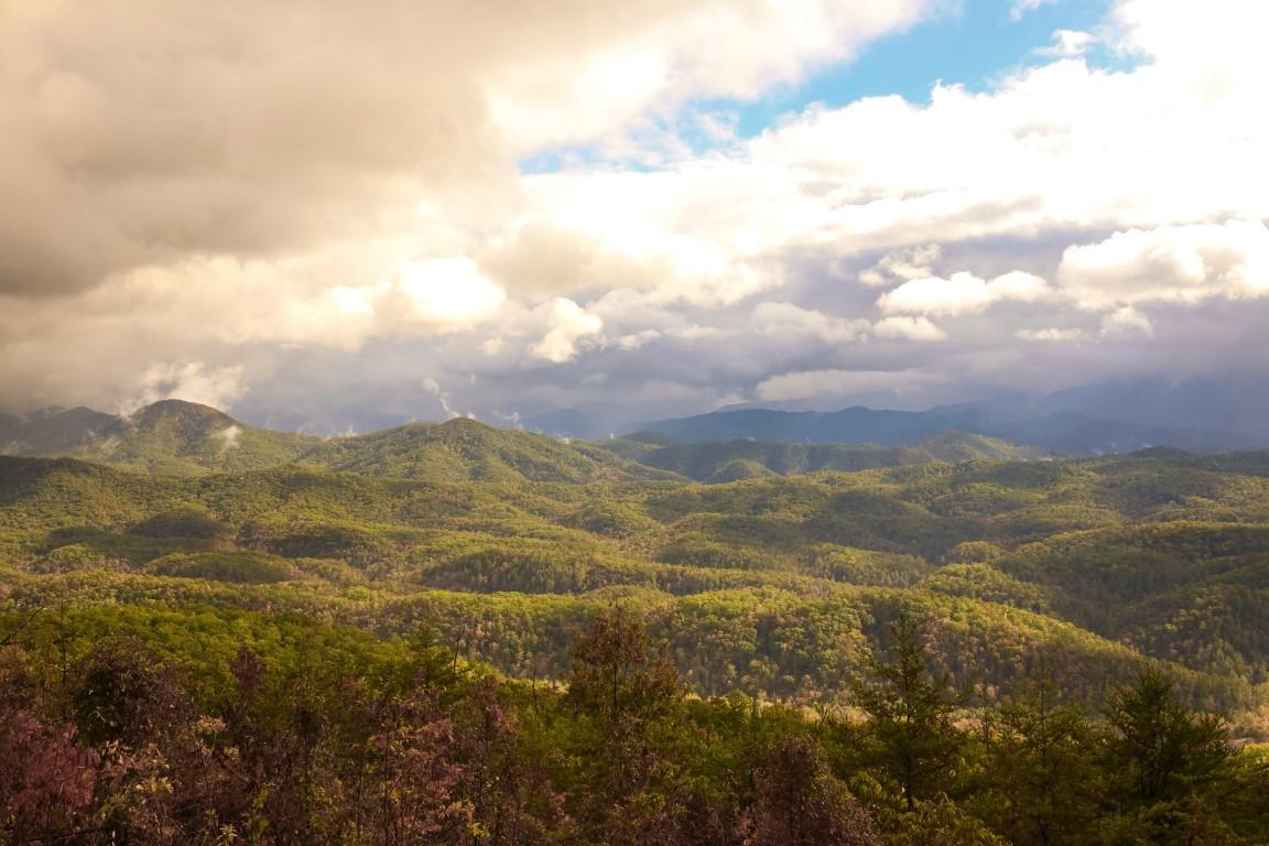 Blackberry Mountain, Tennessee