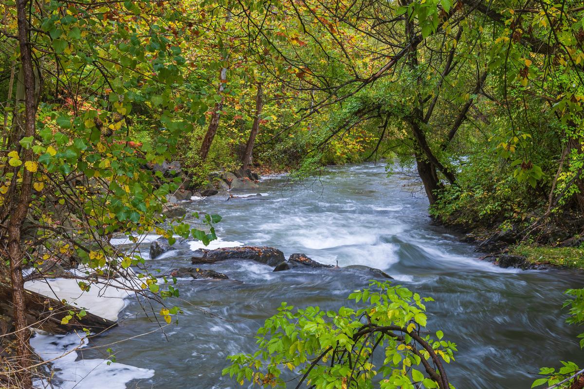 Keuka Outlet Creek in Penn Yan