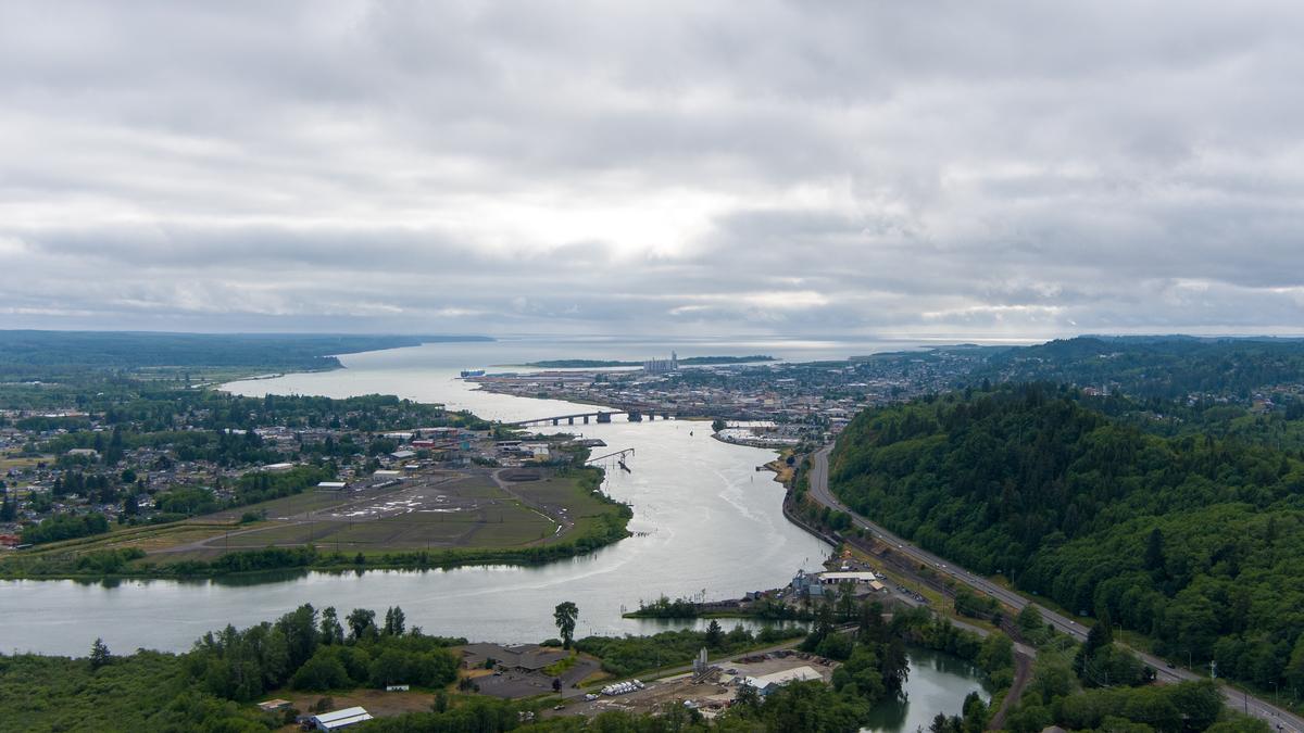 Aberdeen, Washington: Fog, Forest & Birthday Solitude