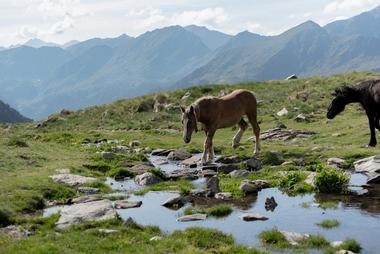 Valle Del Sorteny