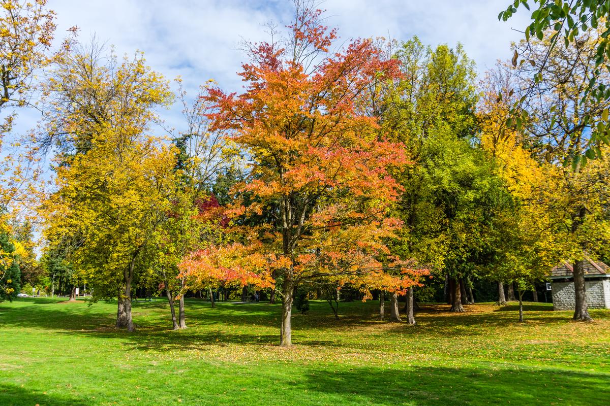 Beer Sheva Park