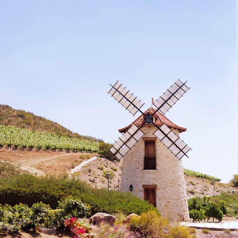 Discover wellness, enjoy peaceful spring days, and rejuvenate your body.