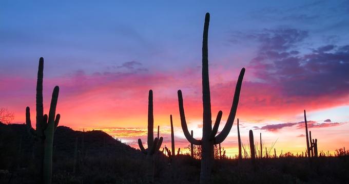 Desert at sunset