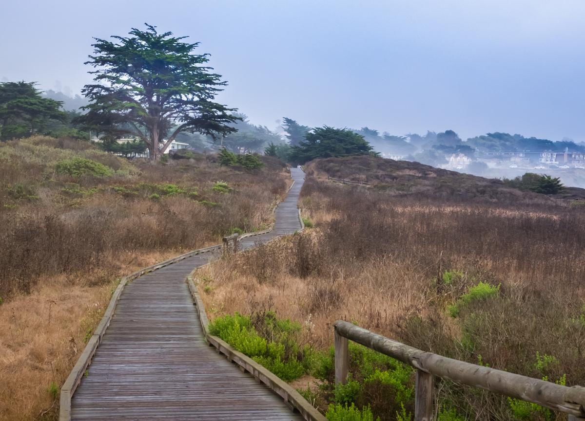 The Moonstone Boardwalk walkway spans the length of Moonstone Beach, along the Pacific Coast in Cambria