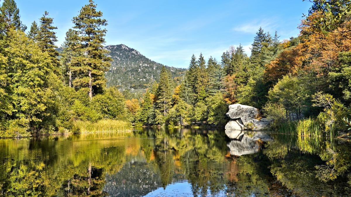 Pines, Pie and a Breath of Mountain Quiet in Idyllwild