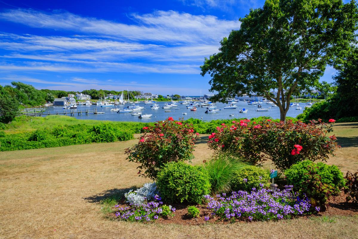 Harwich garden park