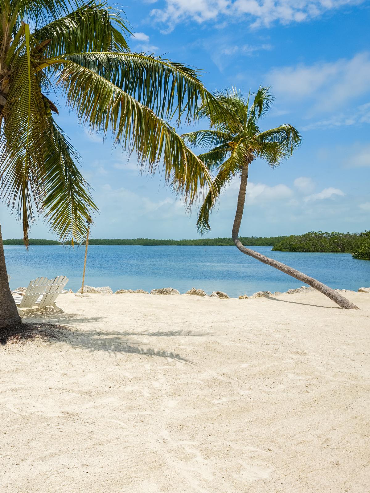 Relaxing on a sandy beach in Key Largo with palm trees overhead