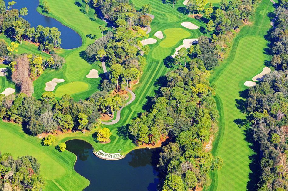 Retreat Together at Innisbrook Resort - 35 minutes from Tampa