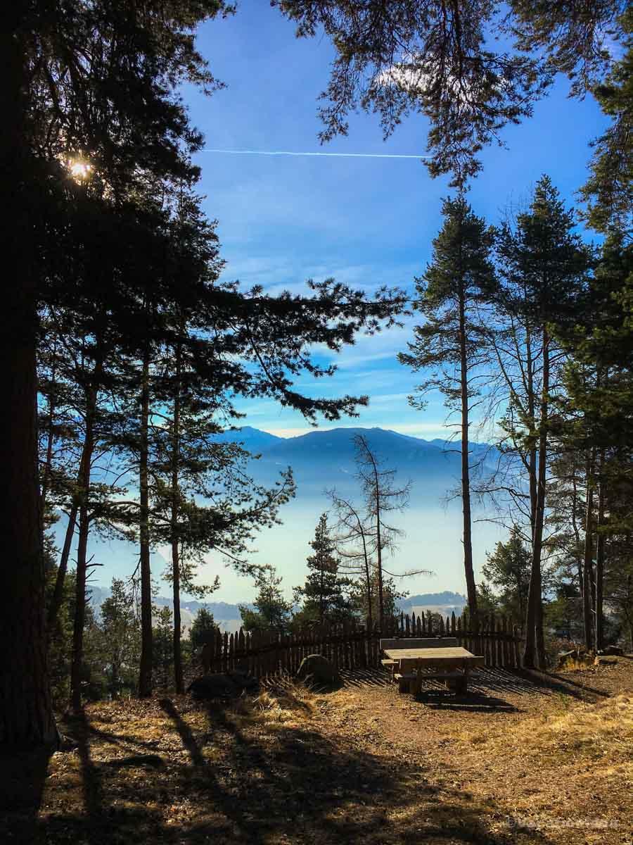 I took this photo of tall trees on a summer hike through the mountains