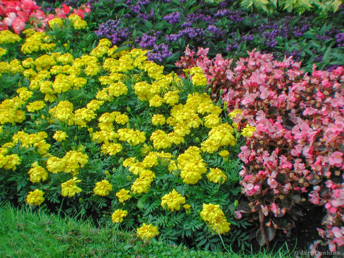 My photo in Denver Botanical Gardens