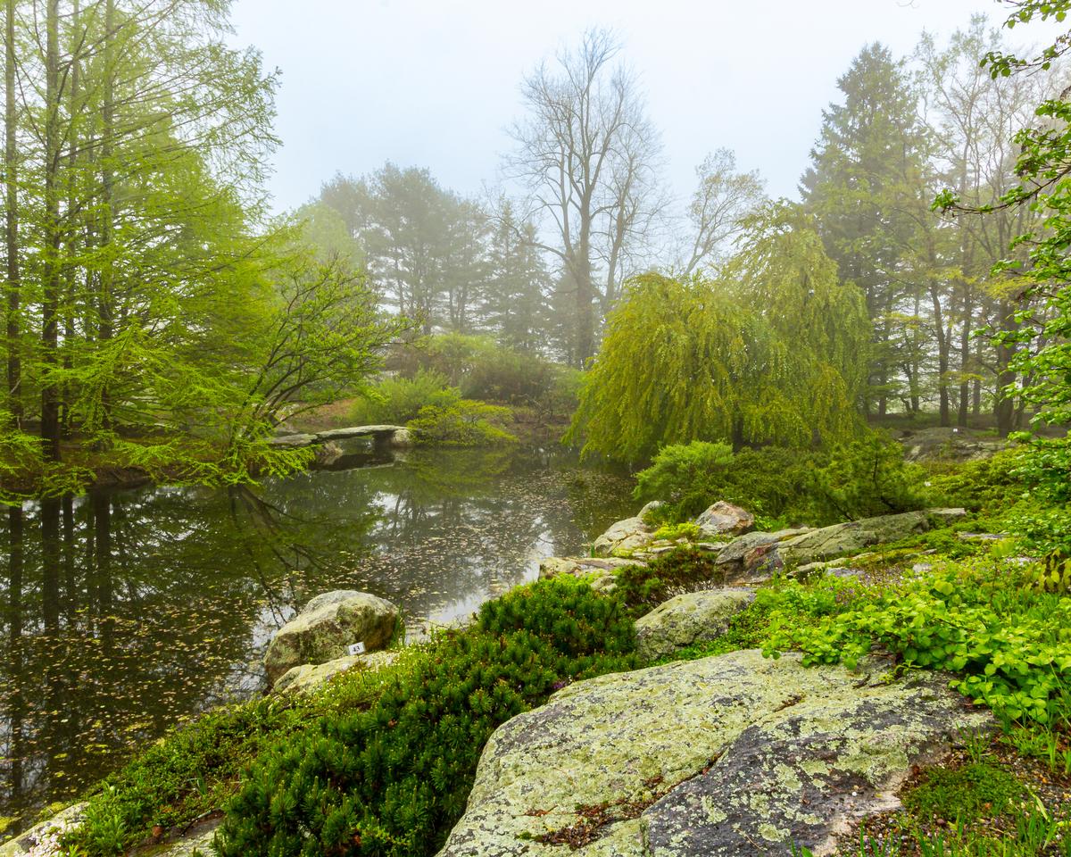 Green quiet and curated wonder at Stonecrop Gardens