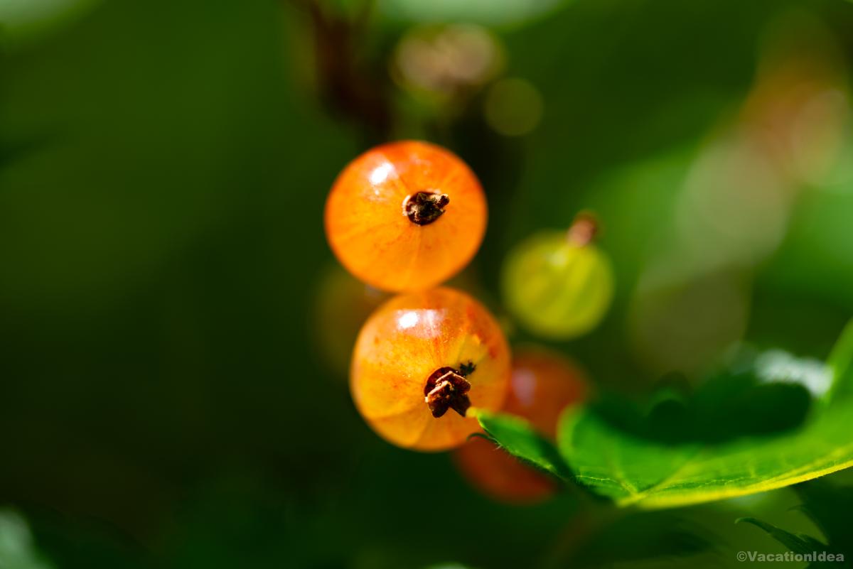 I took this photo in the gardens on our day trip