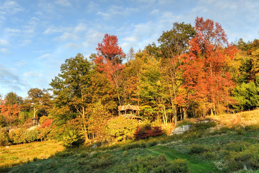 Hike forest trails and admire cliff views on a scenic fall adventure.