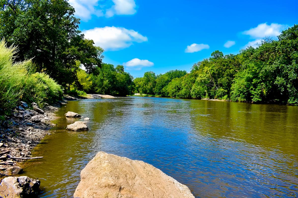 City park in the spring