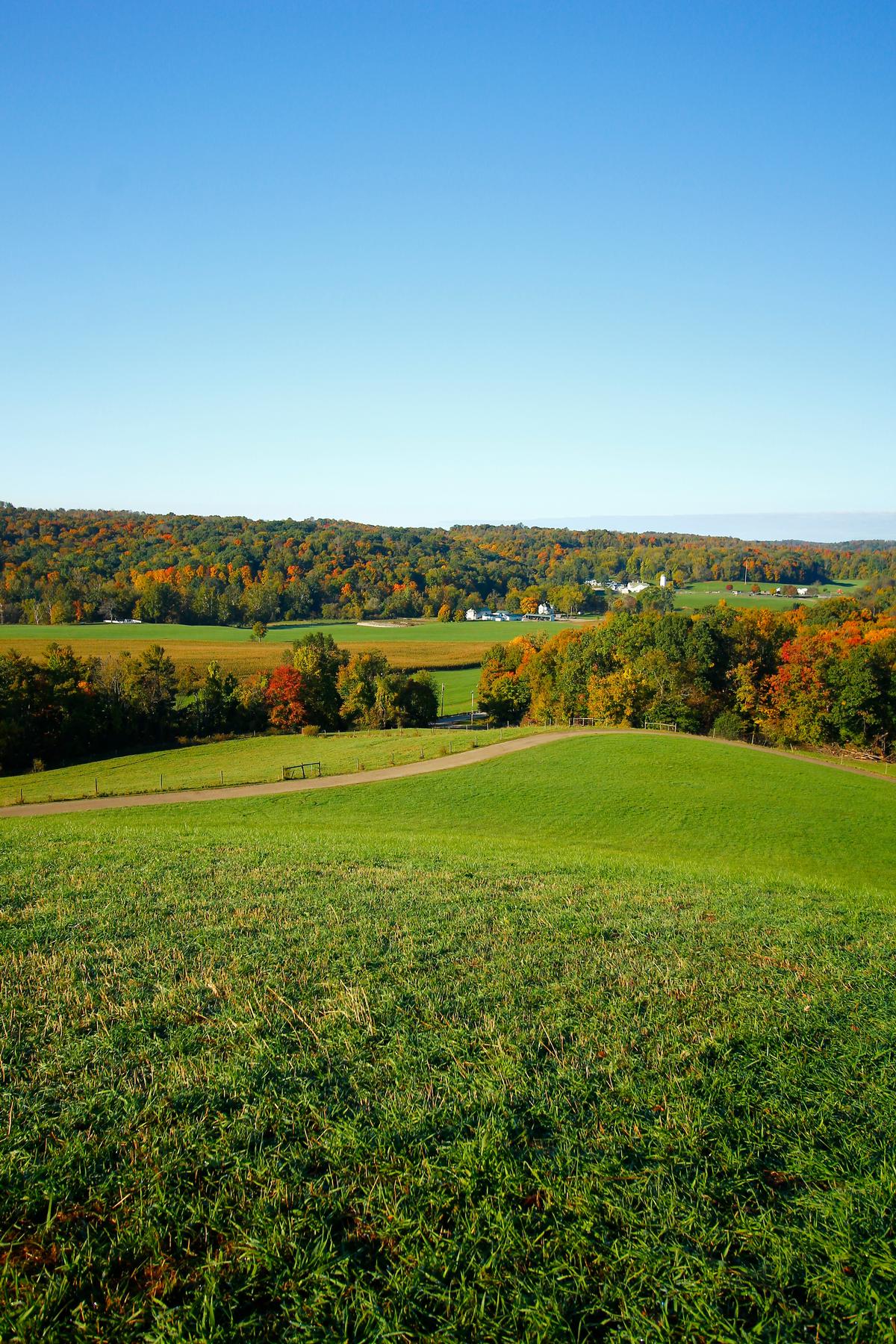 Fall foliage view of Malabar Farm State Park