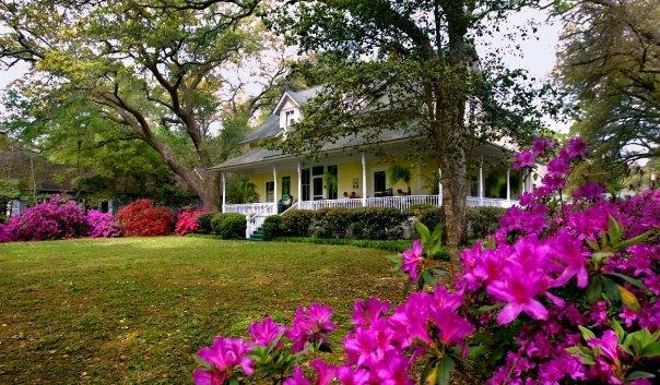 Walk beneath oak canopies and admire small-town charm on a peaceful retirement trip.
