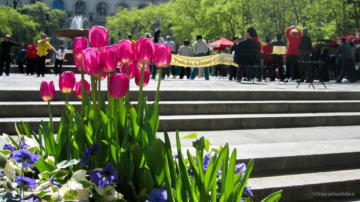 I took this photo while strolling through New York City in May
