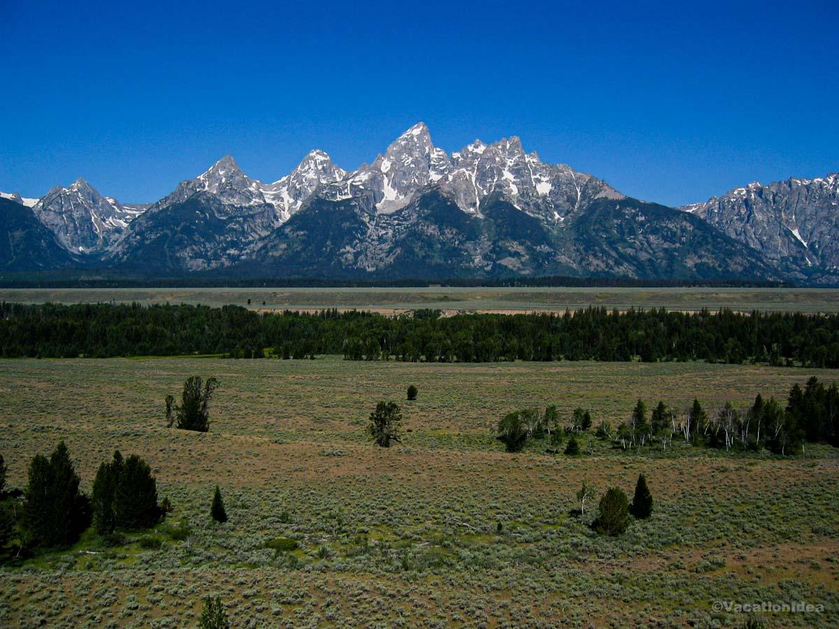 I took this photo while driving in Grand Teton National Park