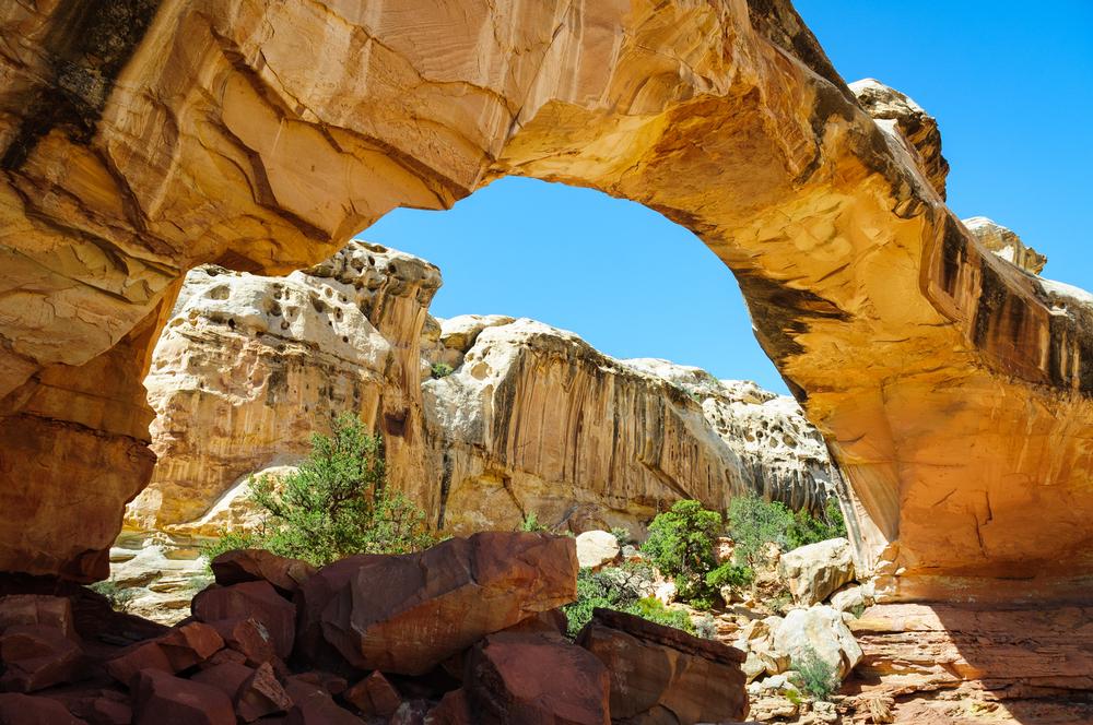 Hike scenic trails and explore colorful cliffs and canyons.