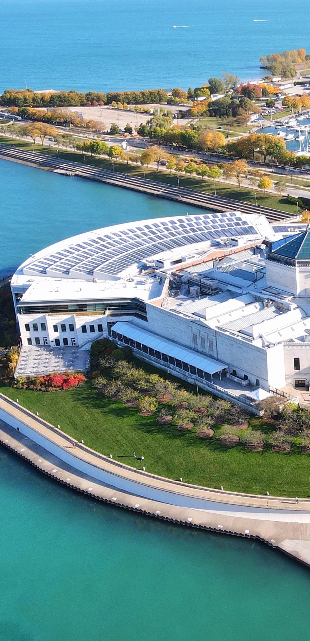 Dive Into Discovery at Shedd Aquarium