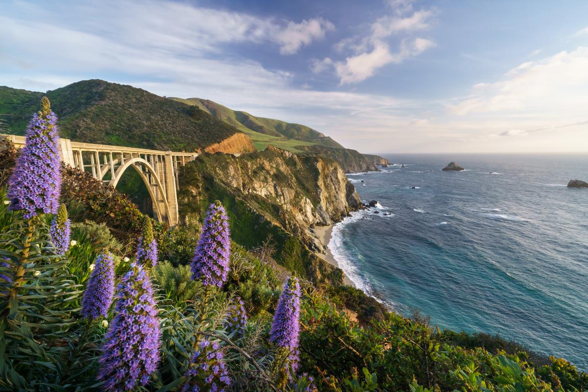 Drive Along Rugged Coastlines and Cliffs in Big Sur, California
