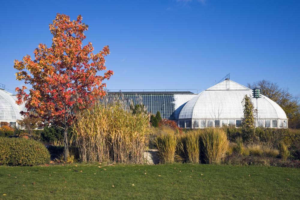 Breathe in Botanical Beauty at Garfield Park Conservatory