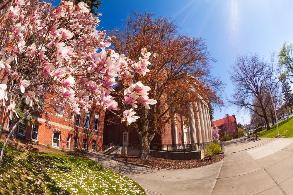 If You Love Small-Town Charm, Explore Ellensburg, Washington