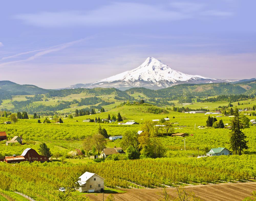 Adventure Into Outdoor Paradise in Hood River, Oregon