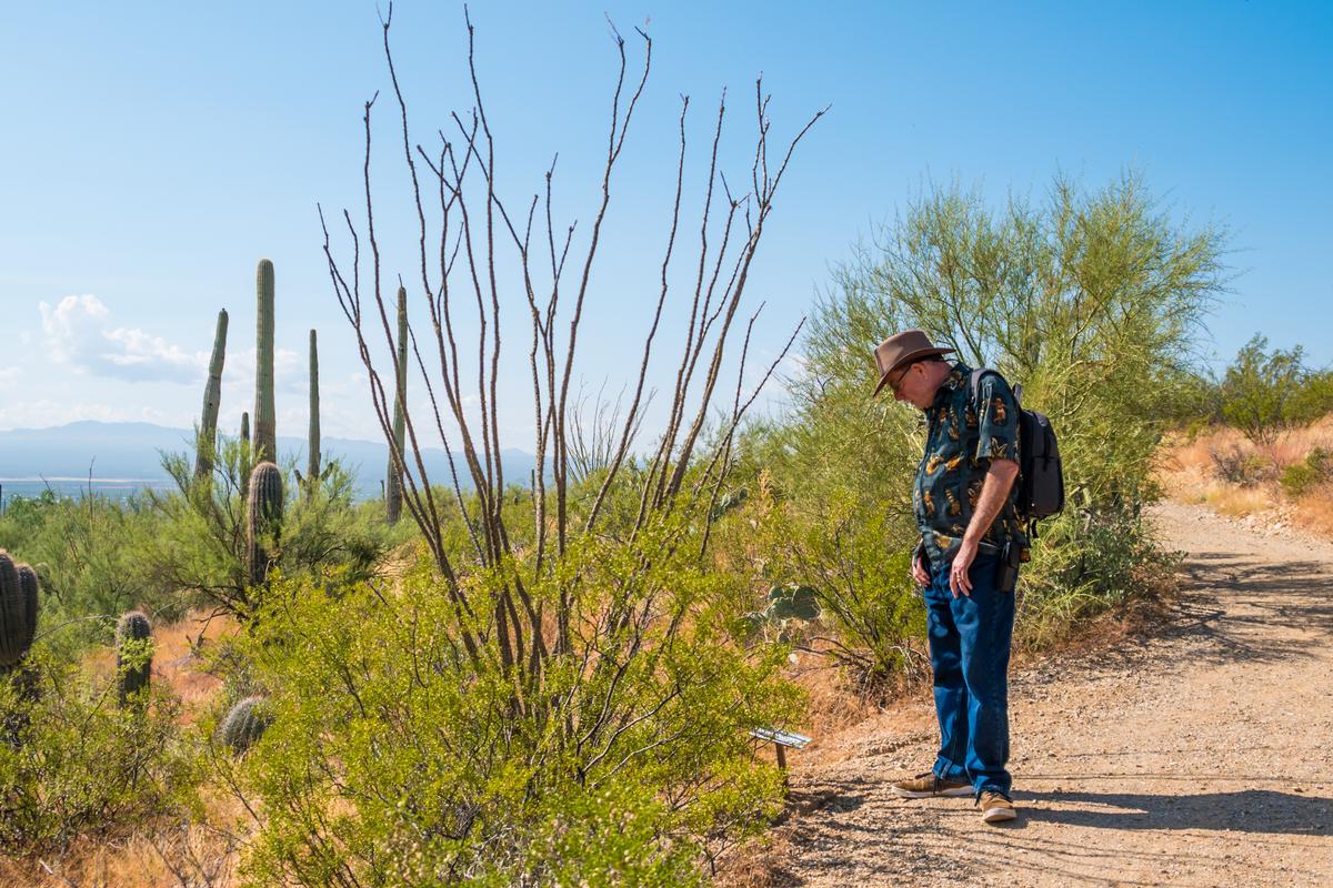 Explore Desert Wonders at the Arizona-Sonora Desert Museum