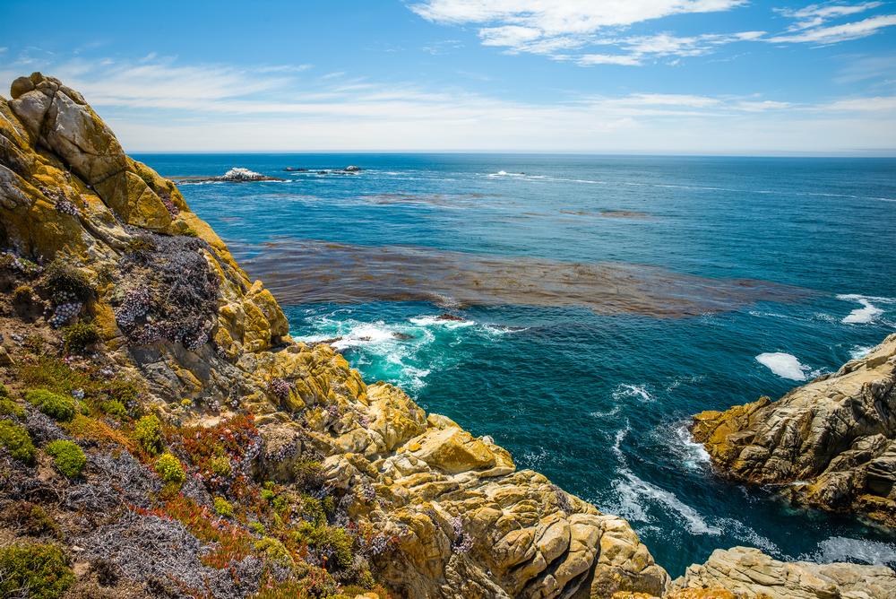 Go hiking in Point Lobos State Reserve