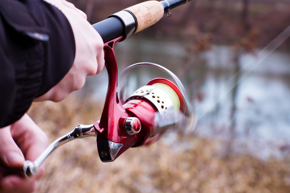 Fish, Paddle, or Picnic at the Scenic Lake Shawnee