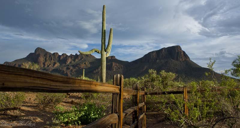 Experience the Wild West at White Stallion Ranch