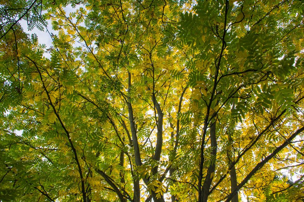 Explore garden trails and discover plants on a cheap, family-friendly outdoor trip.