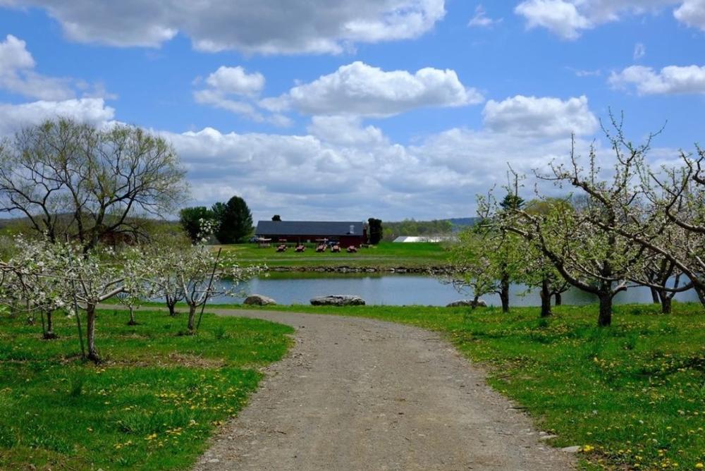 Have pizza and cider at Twin Star Orchards