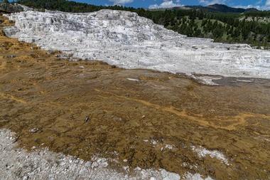 The Upper Loop features beautiful scenery, exciting wildlife and spectacular hydrothermal features